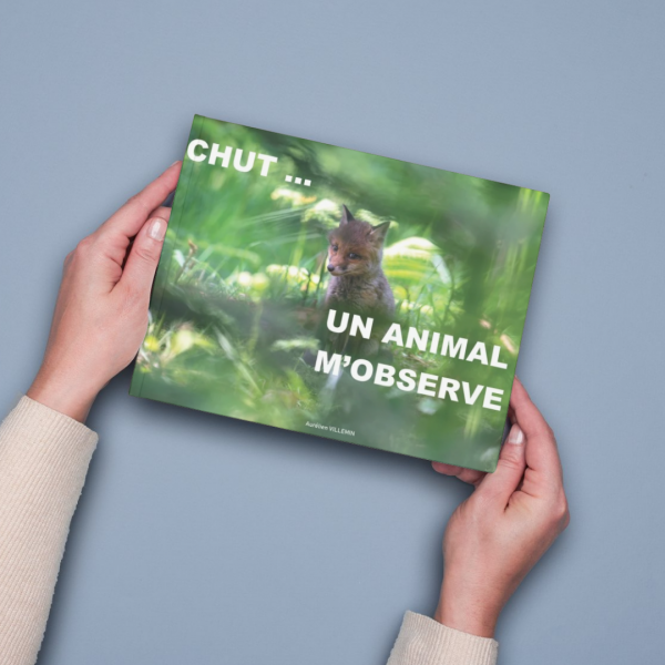 Livre jeunesse : Chut un animal m'observe